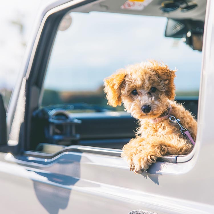 アクセス良好イメージ