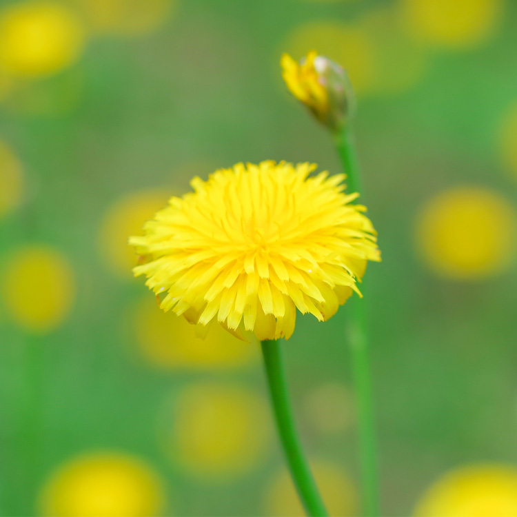 プライバシーへの配慮イメージ
